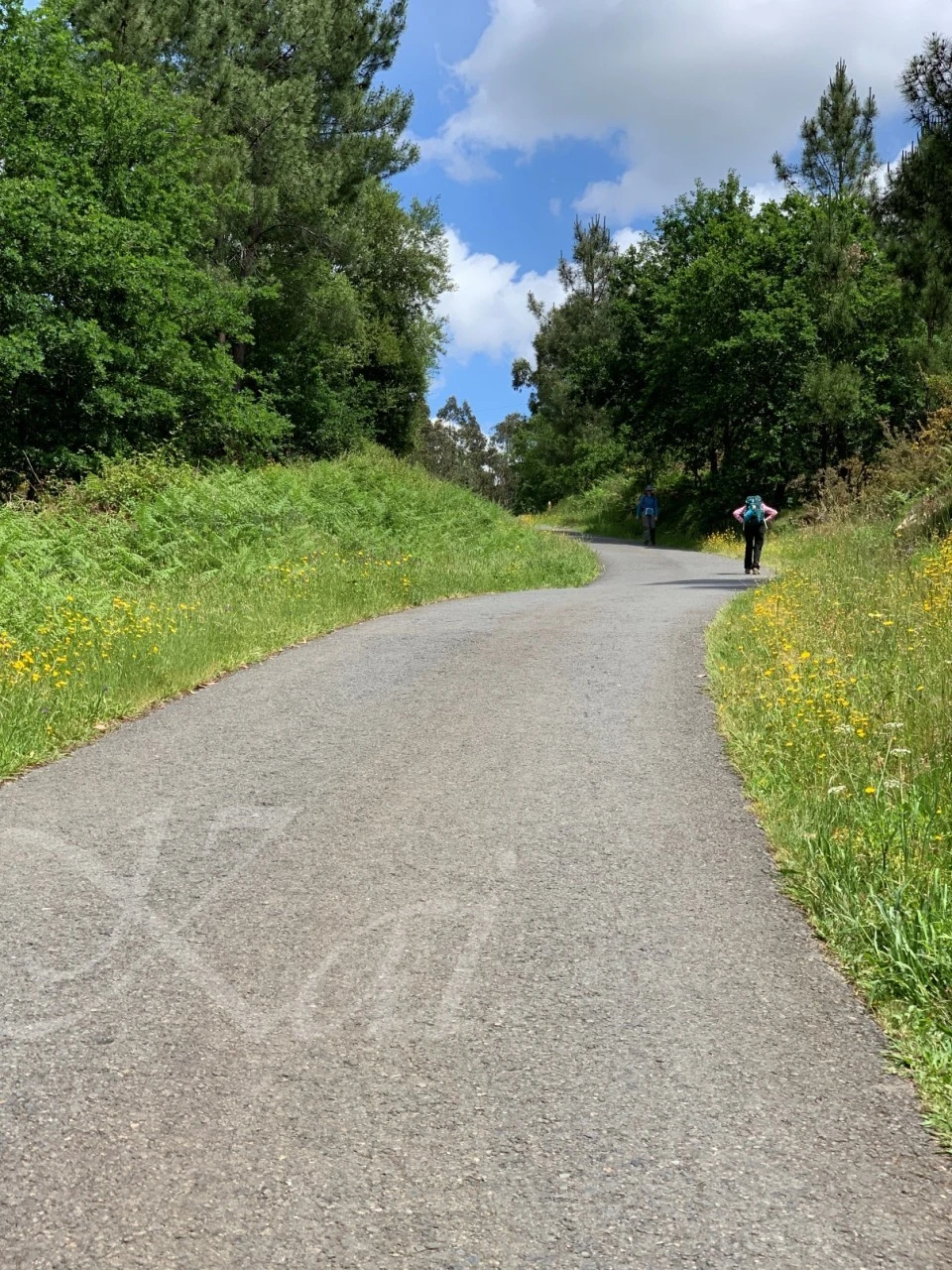 h_66cUd018svc49lkbuknodgm_wocx9r.jpg?type=e1920_std