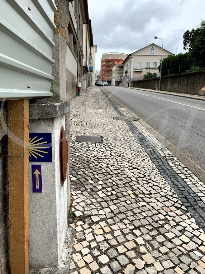 j_gfiUd018svc1wt2lydzljc65_wocx9r.jpg?type=e1920_std