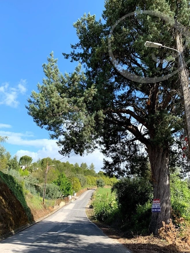 4_987Ud018svchqtt21pog9x9_wocx9r.jpg?type=e1920_std