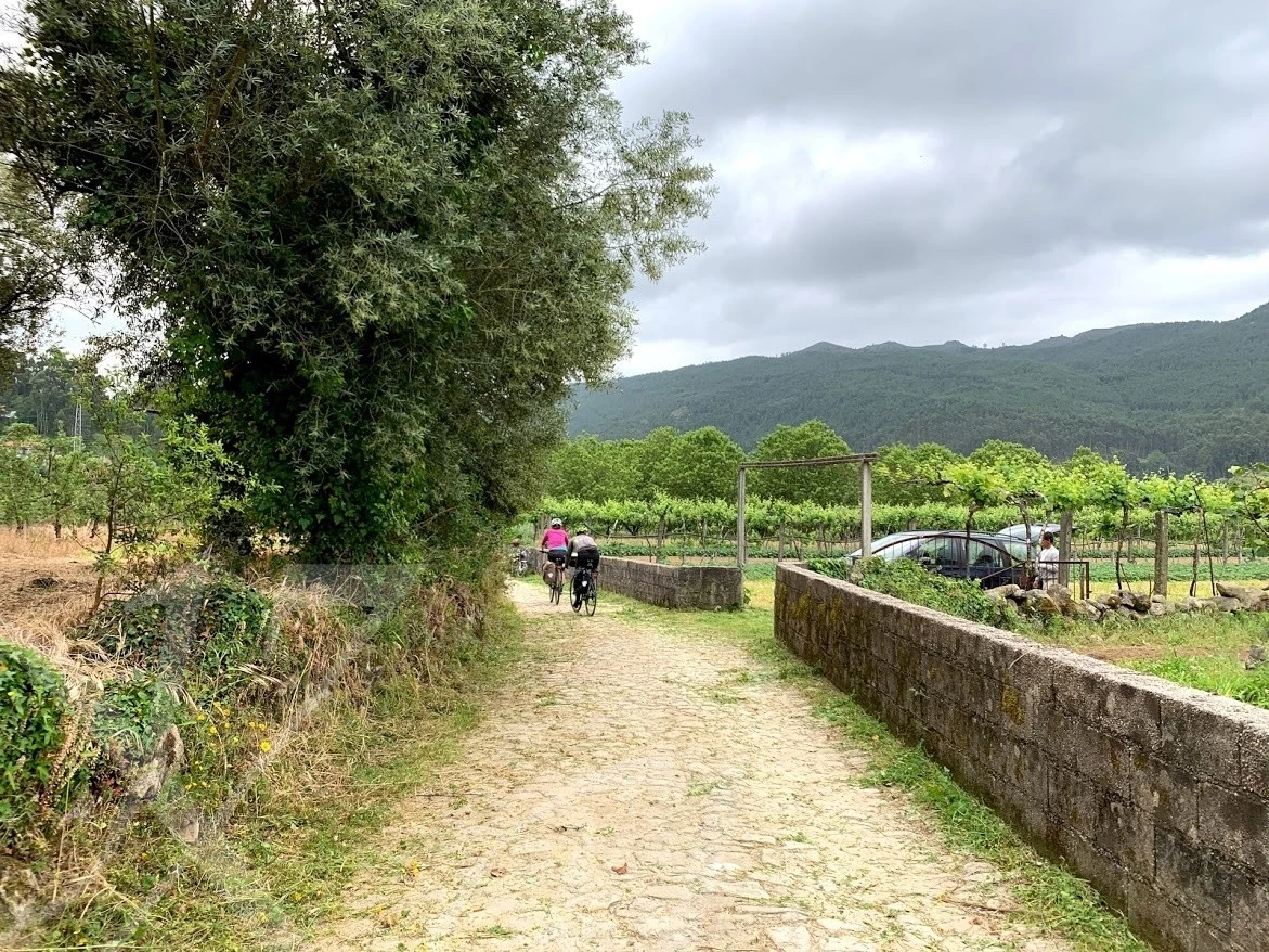 d_idaUd018svc111gjro0ev7fi_wocx9r.jpg?type=e1920_std