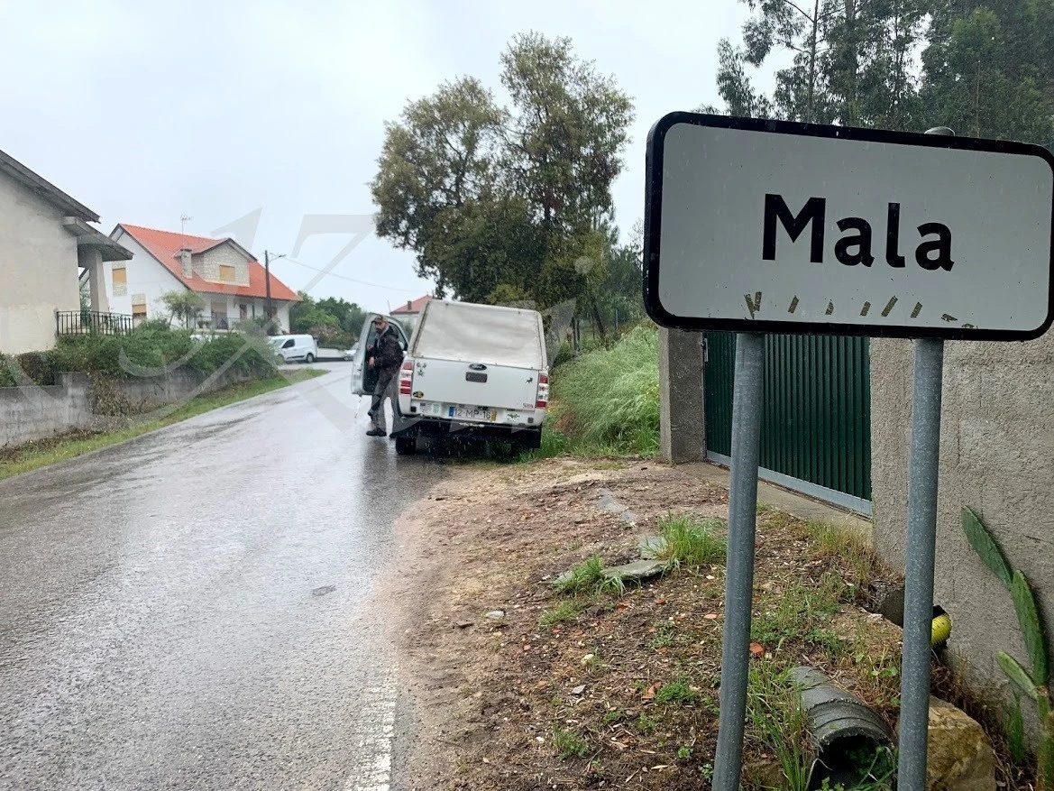 2_18dUd018svc1gmpuxgb0p8ji_wocx9r.jpg?type=e1920_std