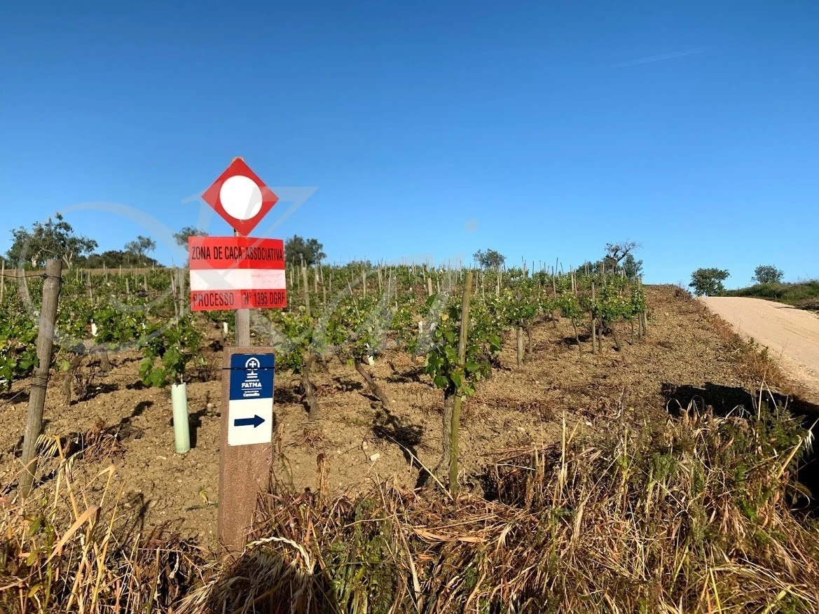 h_bi0Ud018svc1ijdk7sy0u4k3_wocx9r.jpg?type=e1920_std