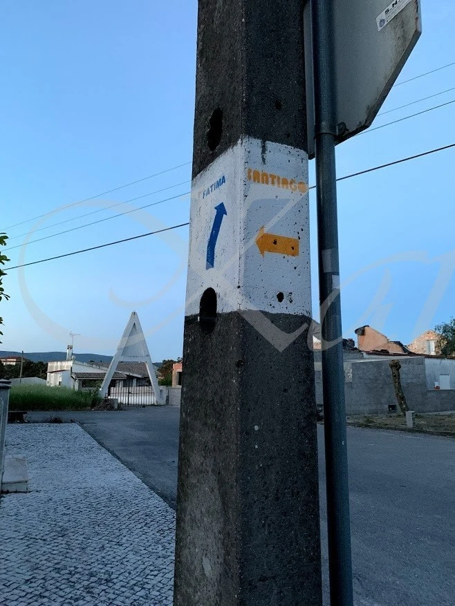 g_5i0Ud018svcr2oc2ex9g8yh_wocx9r.jpg?type=e1920_std