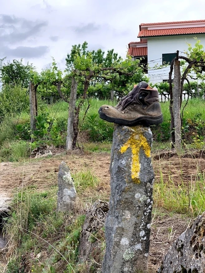 a_ddaUd018svc1jlephn9joa7o_wocx9r.jpg?type=e1920_std