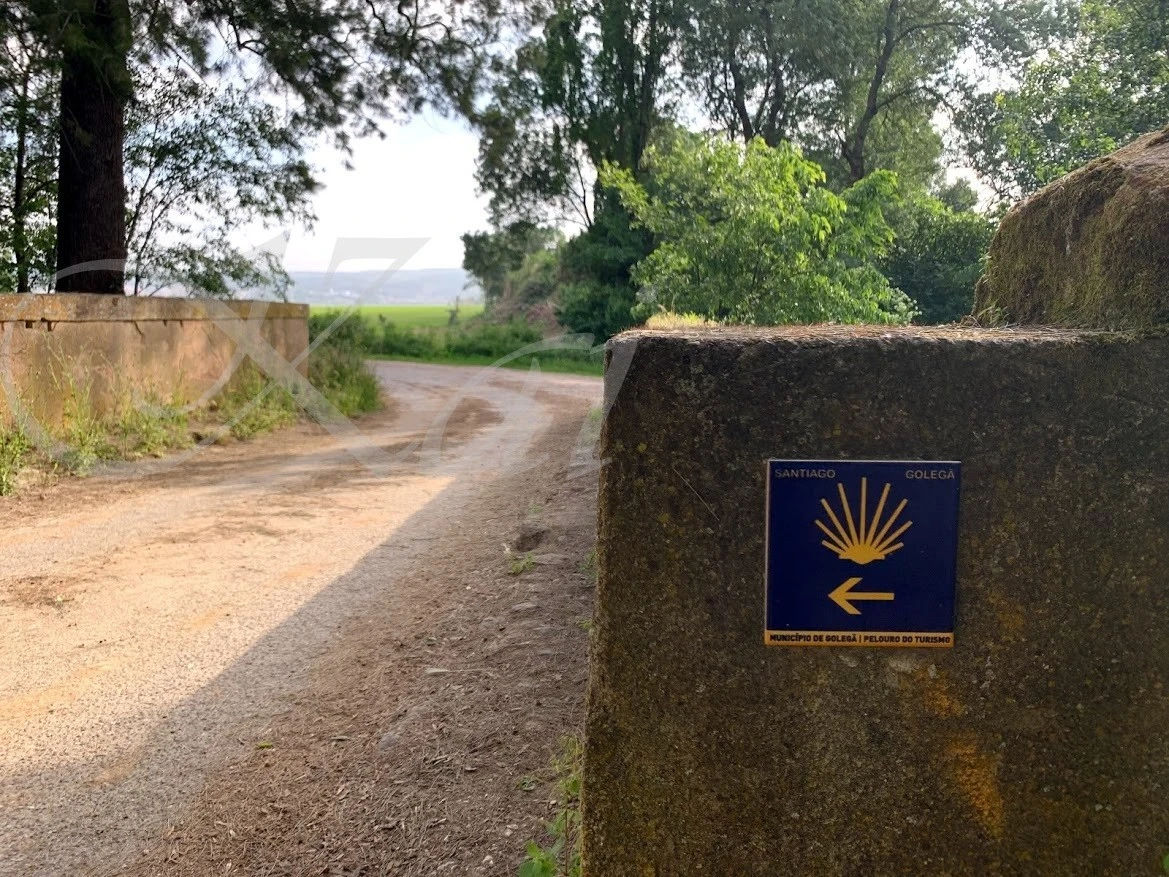 i_b04Ud018svc1kjkzjselj5j9_wocx9r.jpg?type=e1920_std