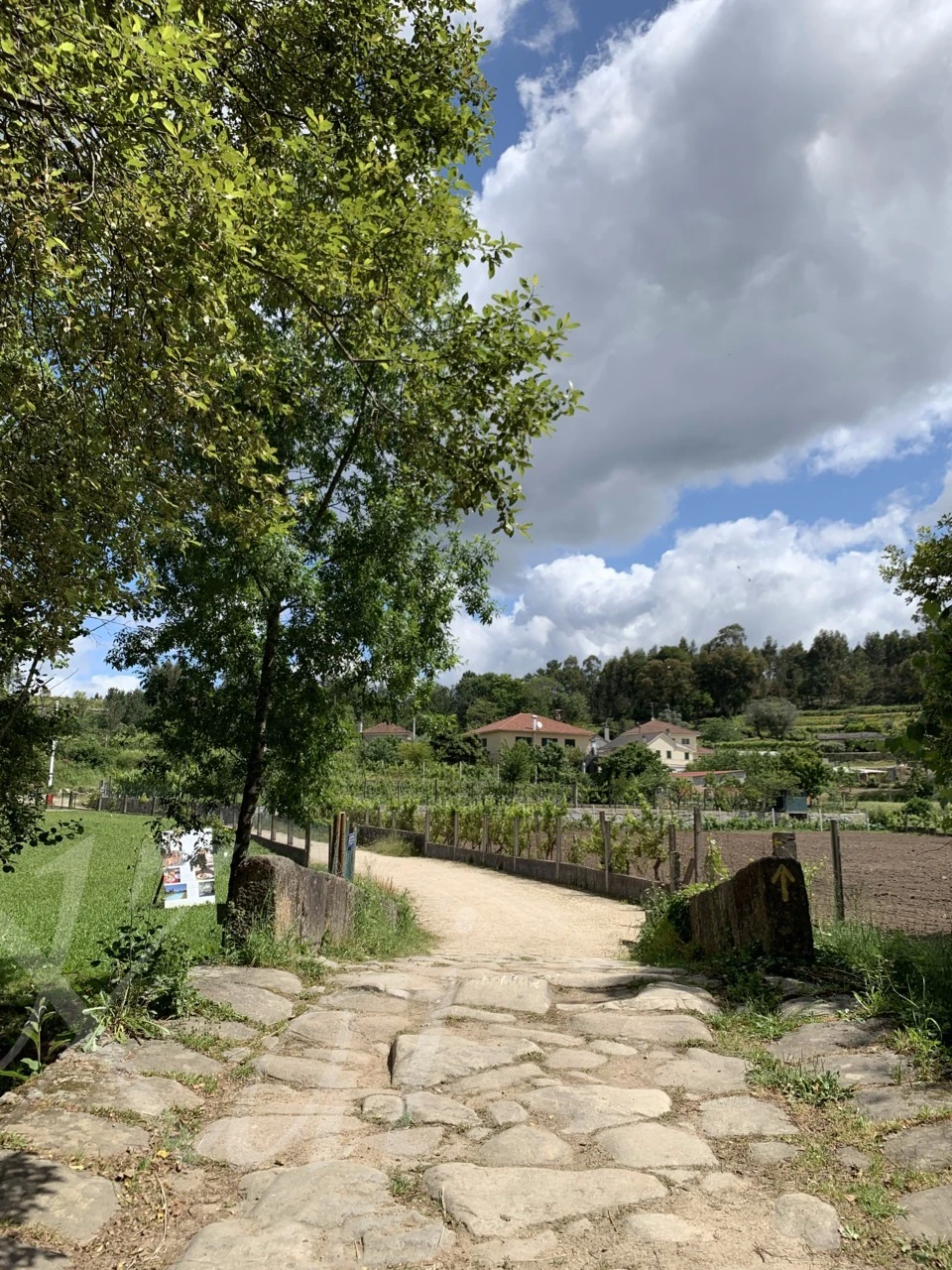 4_jegUd018svclg9688wu178y_wocx9r.png?type=e1920_std