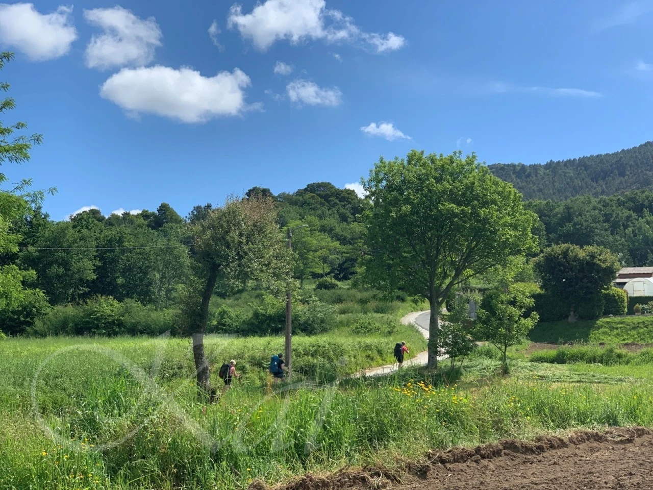 f_h6cUd018svc1nhkox4h9yly3_wocx9r.jpg?type=e1920_std