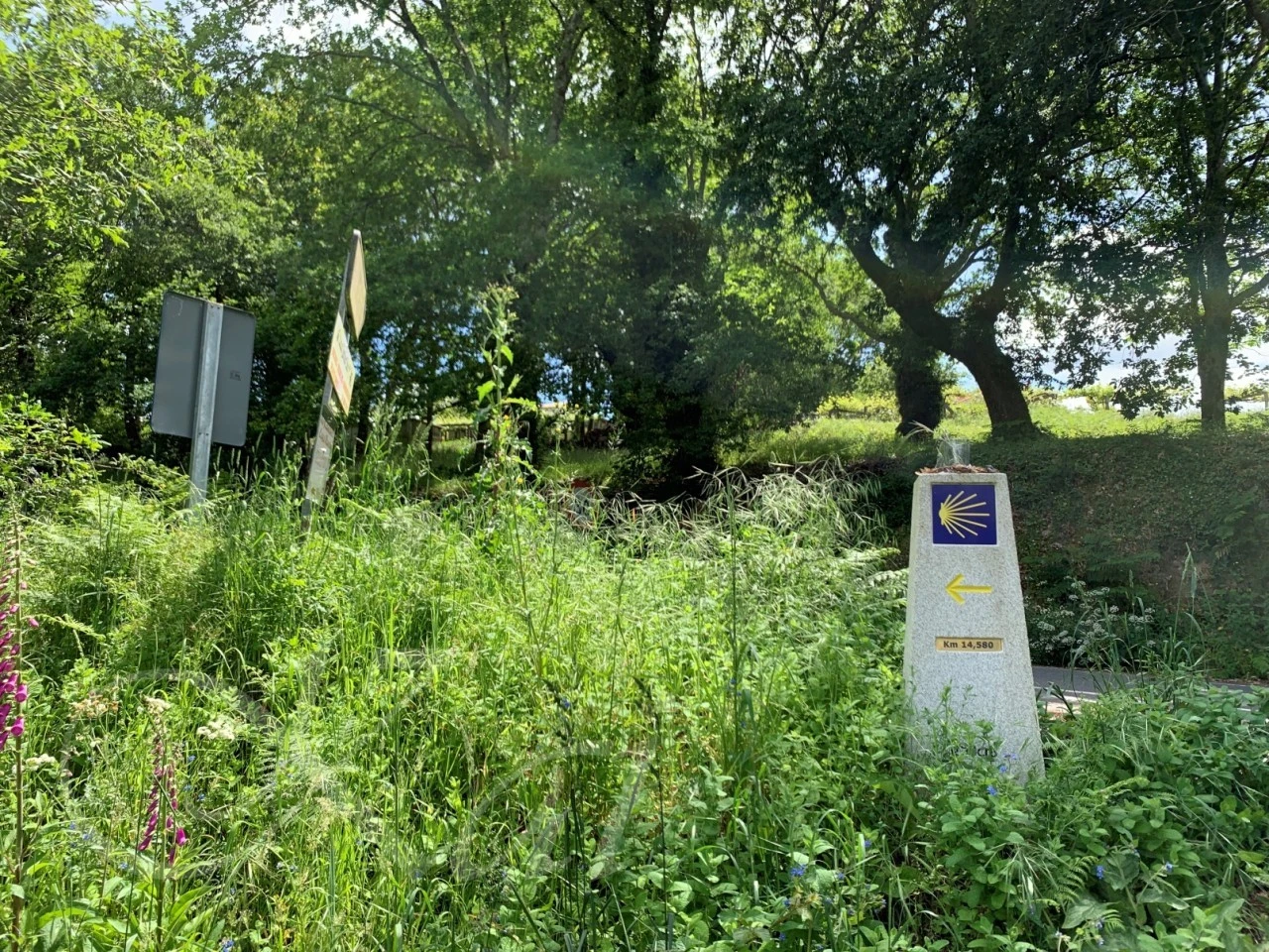 g_i6cUd018svc11ppyqu5qxfwj_wocx9r.jpg?type=e1920_std