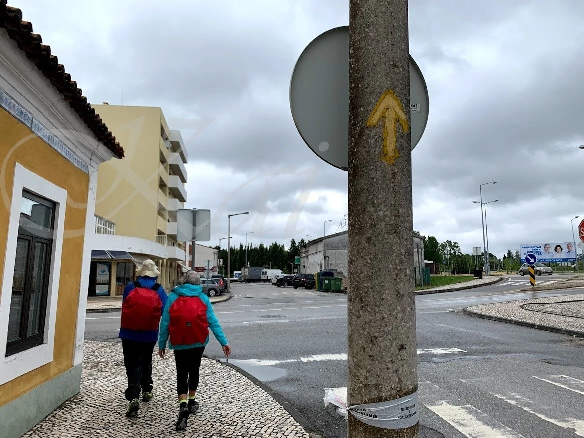 3_h8dUd018svc1twff8lg73vj9_wocx9r.jpg?type=e1920_std