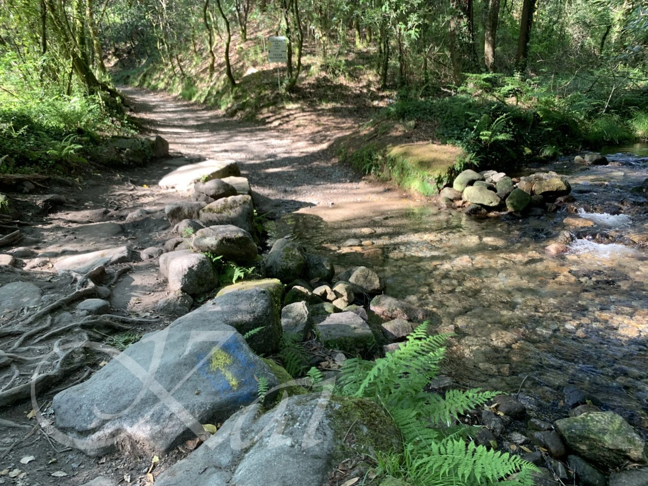 c_9d4Ud018svc1558qov1v94n_wocx9r.png?type=e1920_std