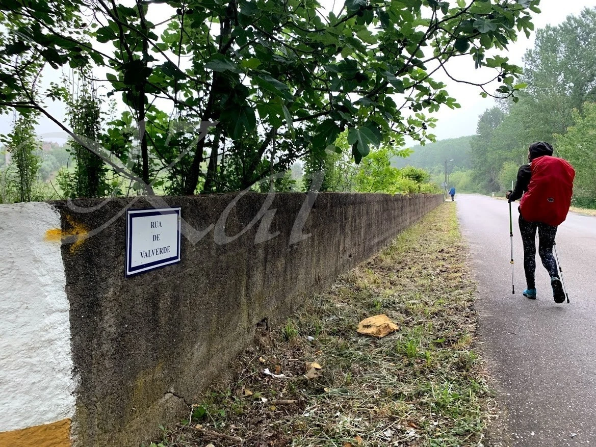 j_a8cUd018svcruwp0nhju5nf_wocx9r.jpg?type=e1920_std