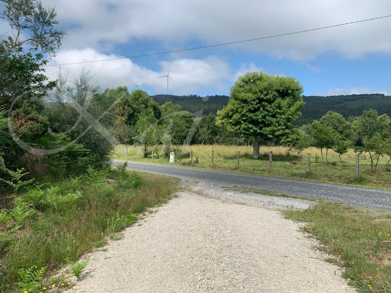 i_92fUd018svc14wxyncacayqf_wocx9r.jpg?type=e1920_std