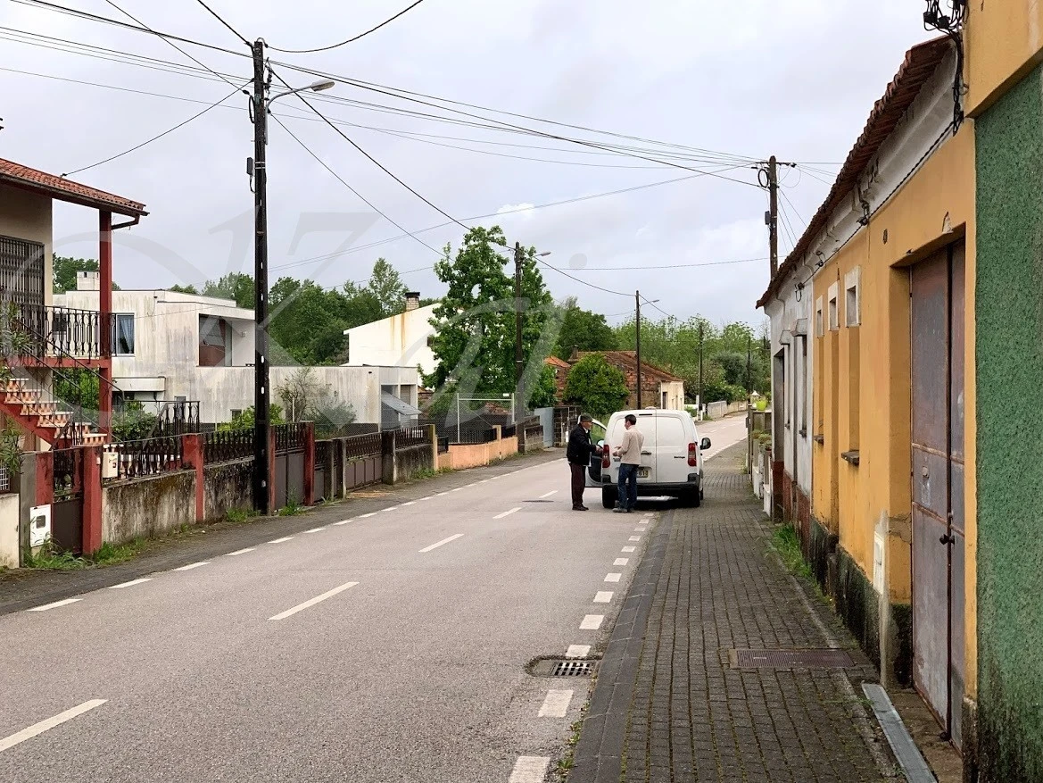 d_bfiUd018svc1gypdx6r6732d_wocx9r.jpg?type=e1920_std