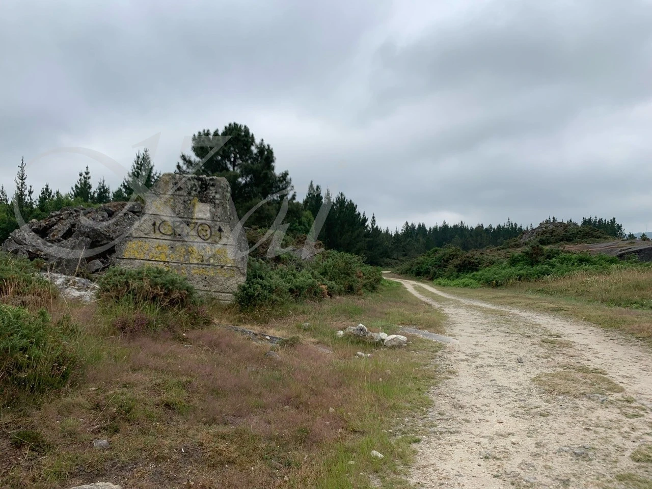 g_b2fUd018svc1m4hvmtseq6wd_wocx9r.jpg?type=e1920_std