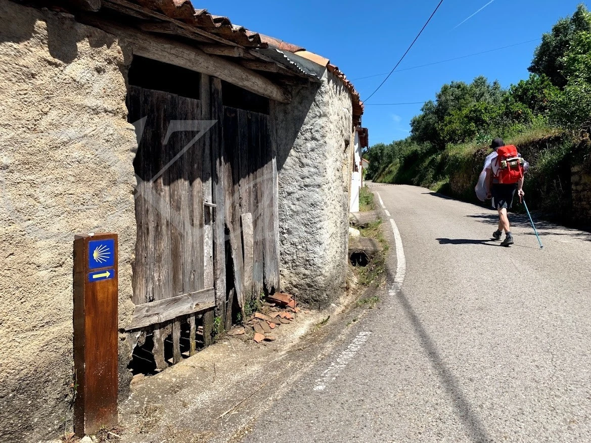 f_8c7Ud018svc1lu7did682490_wocx9r.jpg?type=e1920_std