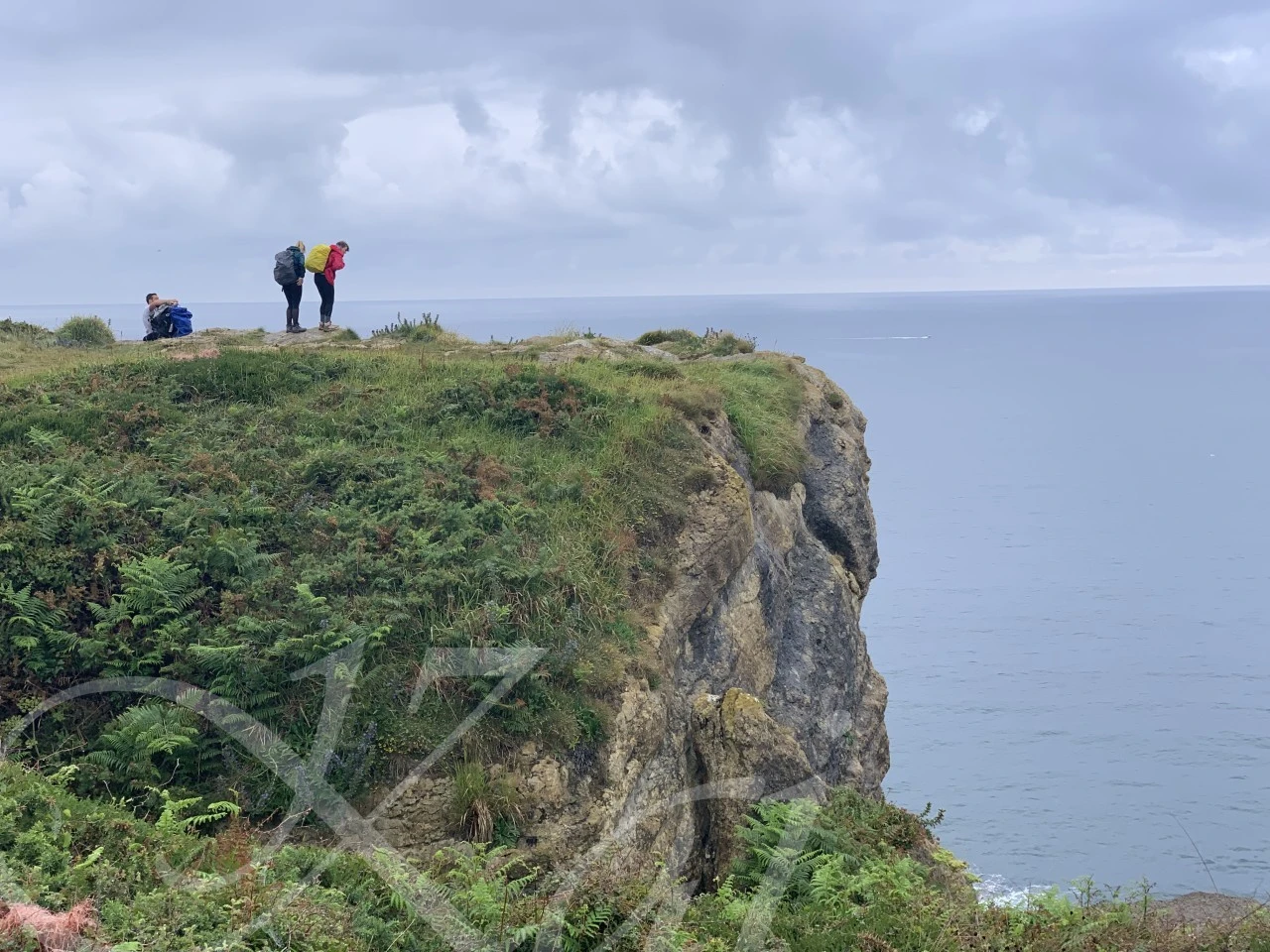 b_b26Ud018svcn8c7cuuxaeip_wocx9r.png?type=e1920_std