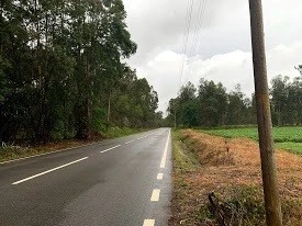 a_jfiUd018svc1irjmmxodki7f_wocx9r.jpg?type=e1920_std