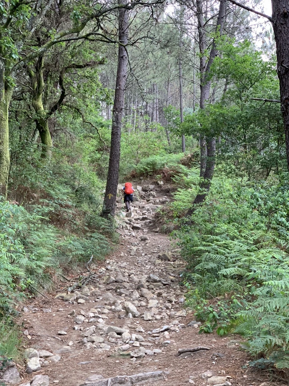 c_a59Ud018svc53sp4b60aus3_wocx9r.png?type=e1920_std