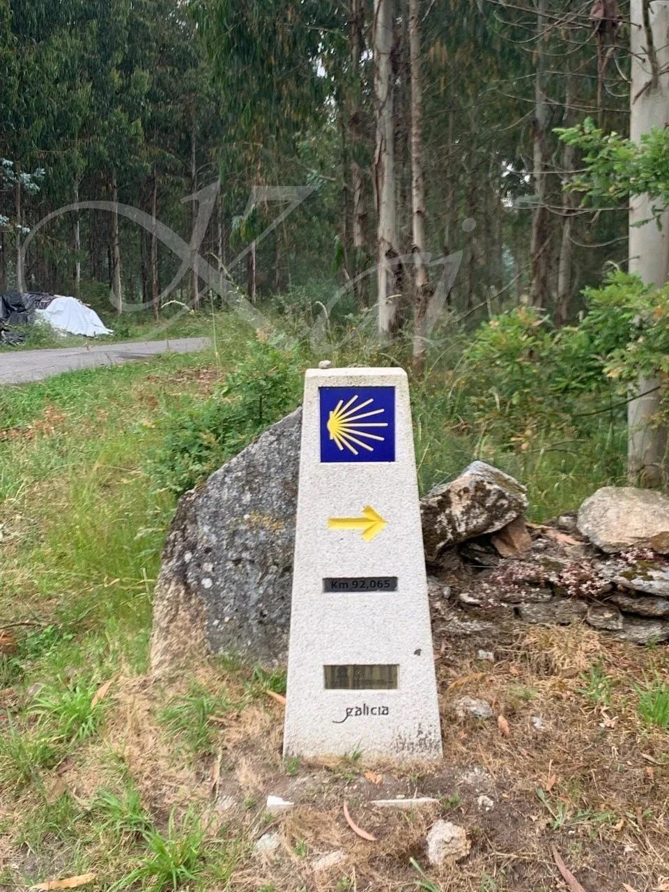 b_61hUd018svc4h11880rgktr_wocx9r.jpg?type=e1920_std