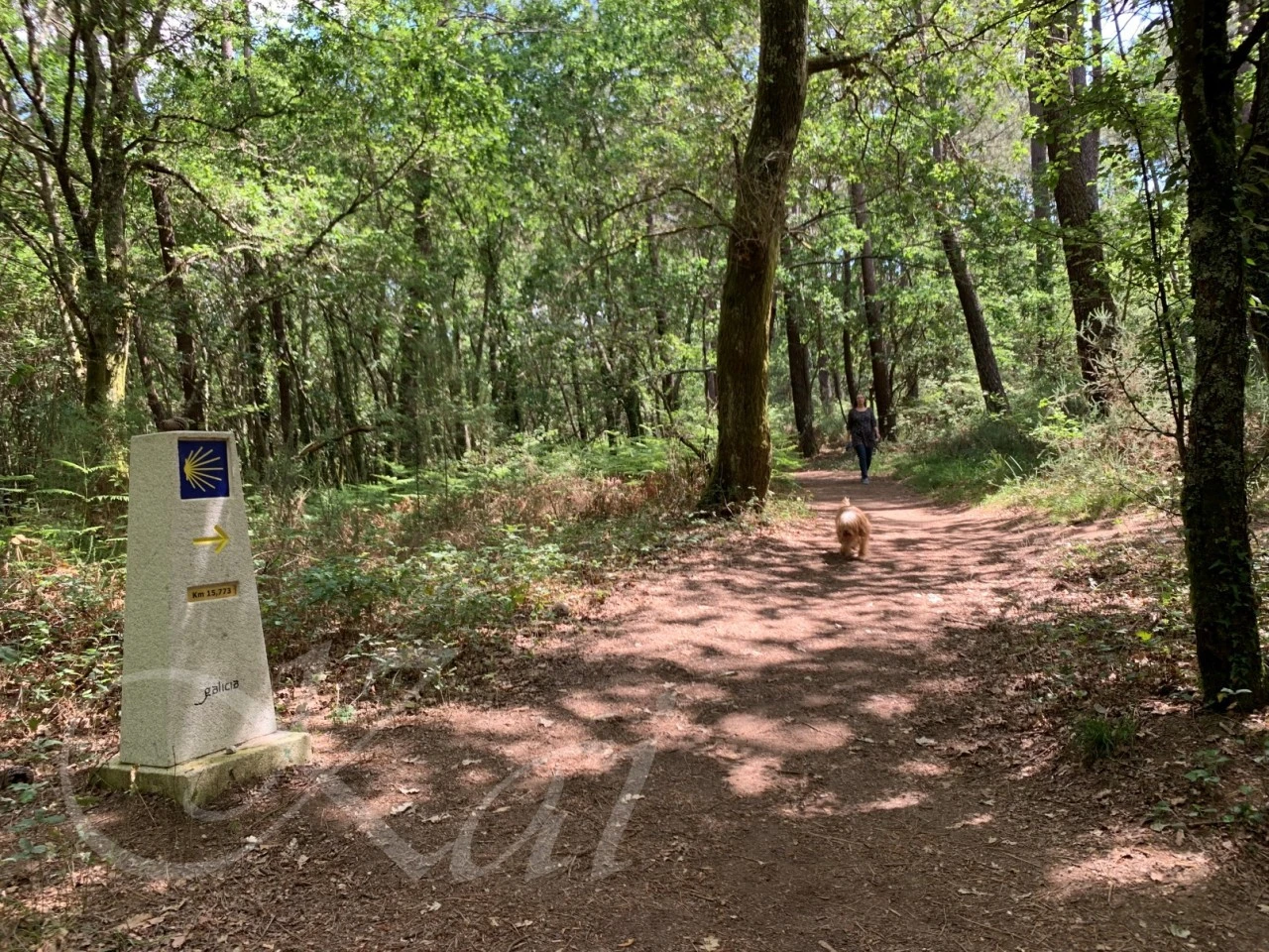 g_66cUd018svccqi79amso2ey_wocx9r.jpg?type=e1920_std