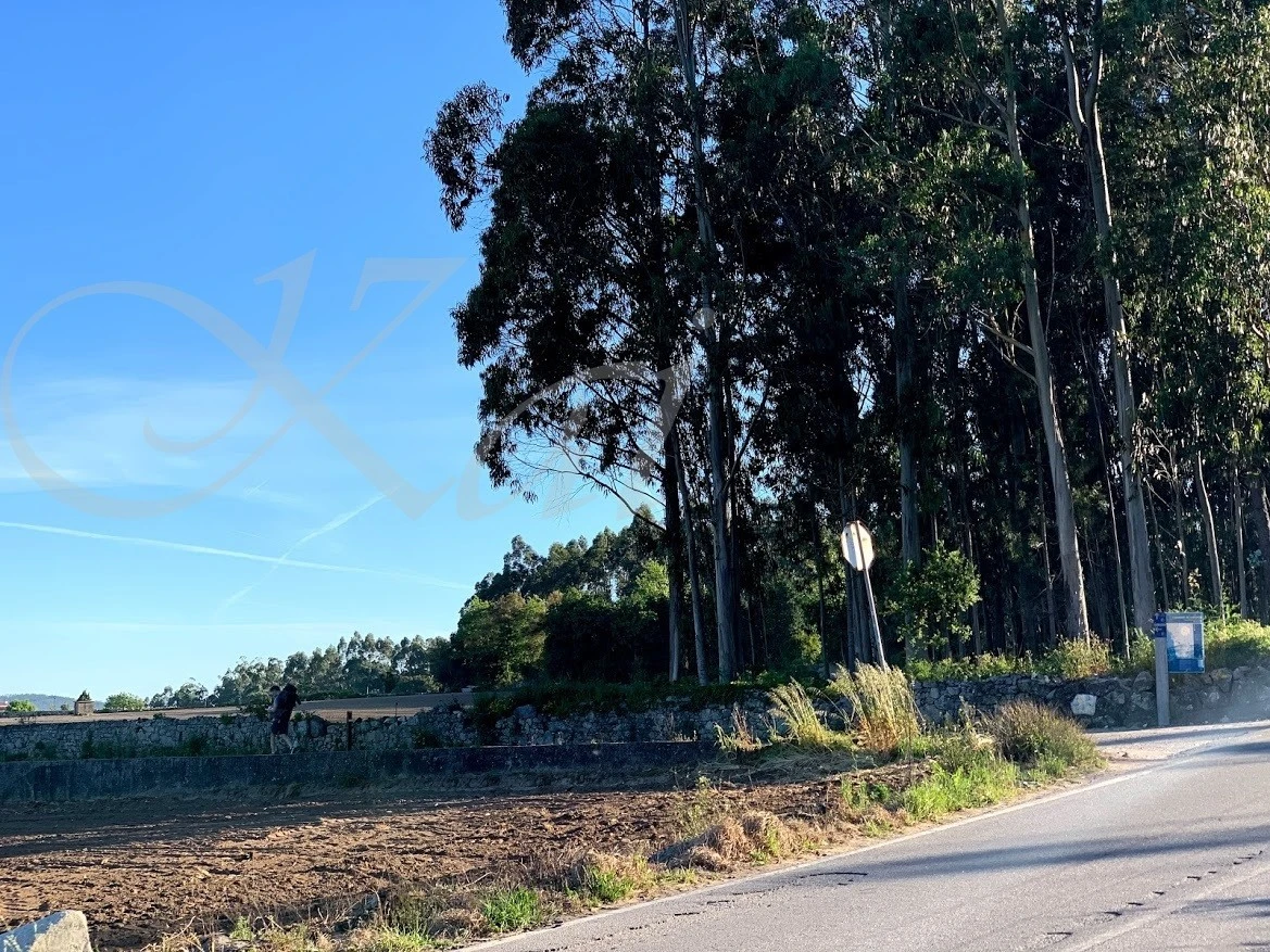 6_b65Ud018svchnkhxmljva5y_wocx9r.jpg?type=e1920_std