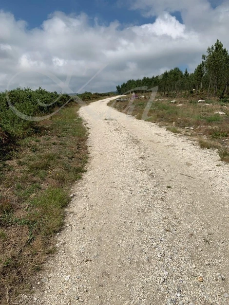 i_22fUd018svc1fsqk8feutg8o_wocx9r.jpg?type=e1920_std