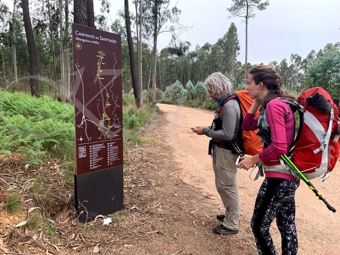 g_b35Ud018svc11a6mrr5jggn4_wocx9r.jpg?type=e1920_std