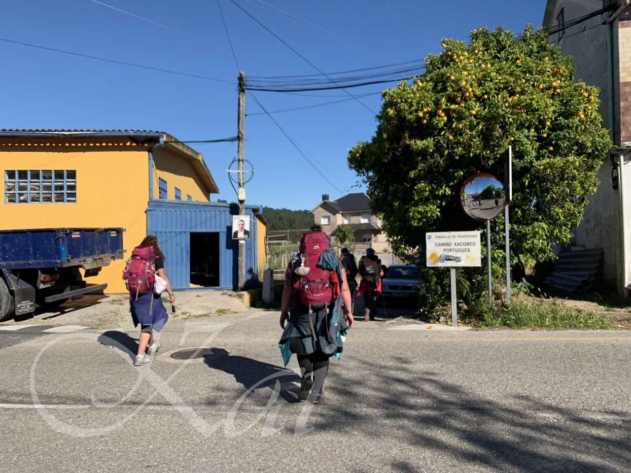 2_ad3Ud018svc1nqmlniakwvu6_wocx9r.png?type=e1920_std