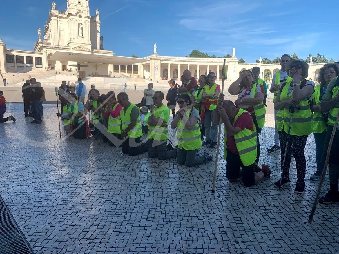 gH7Re-3GzzeLuzYY1TuIVluJh6c