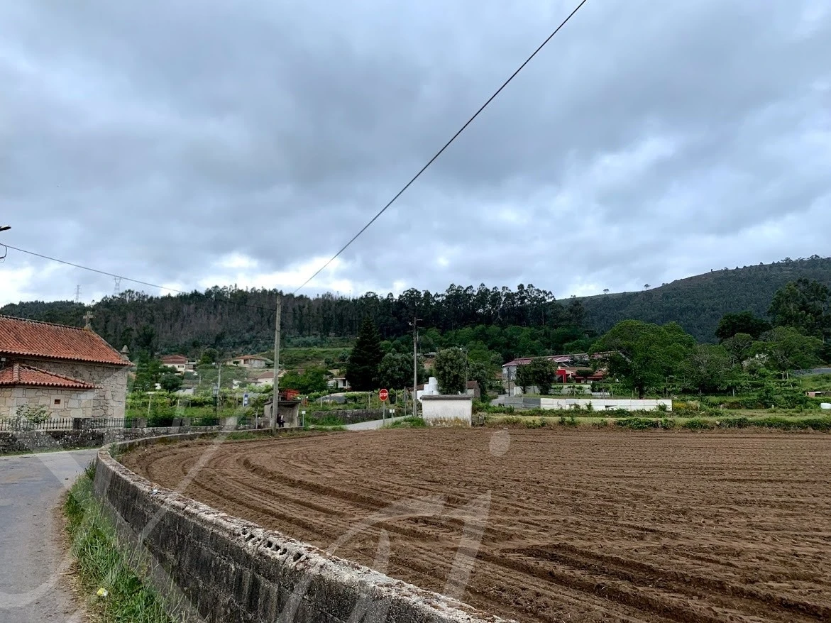 a_5daUd018svcvil8n9uot0qm_wocx9r.jpg?type=e1920_std