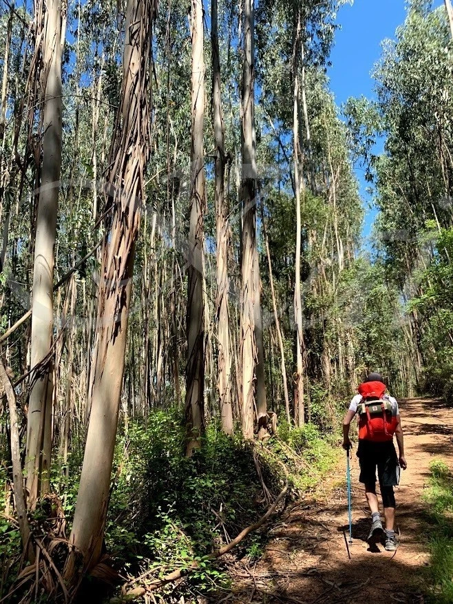 g_4c7Ud018svc11t1q3lg0ogpa_wocx9r.jpg?type=e1920_std