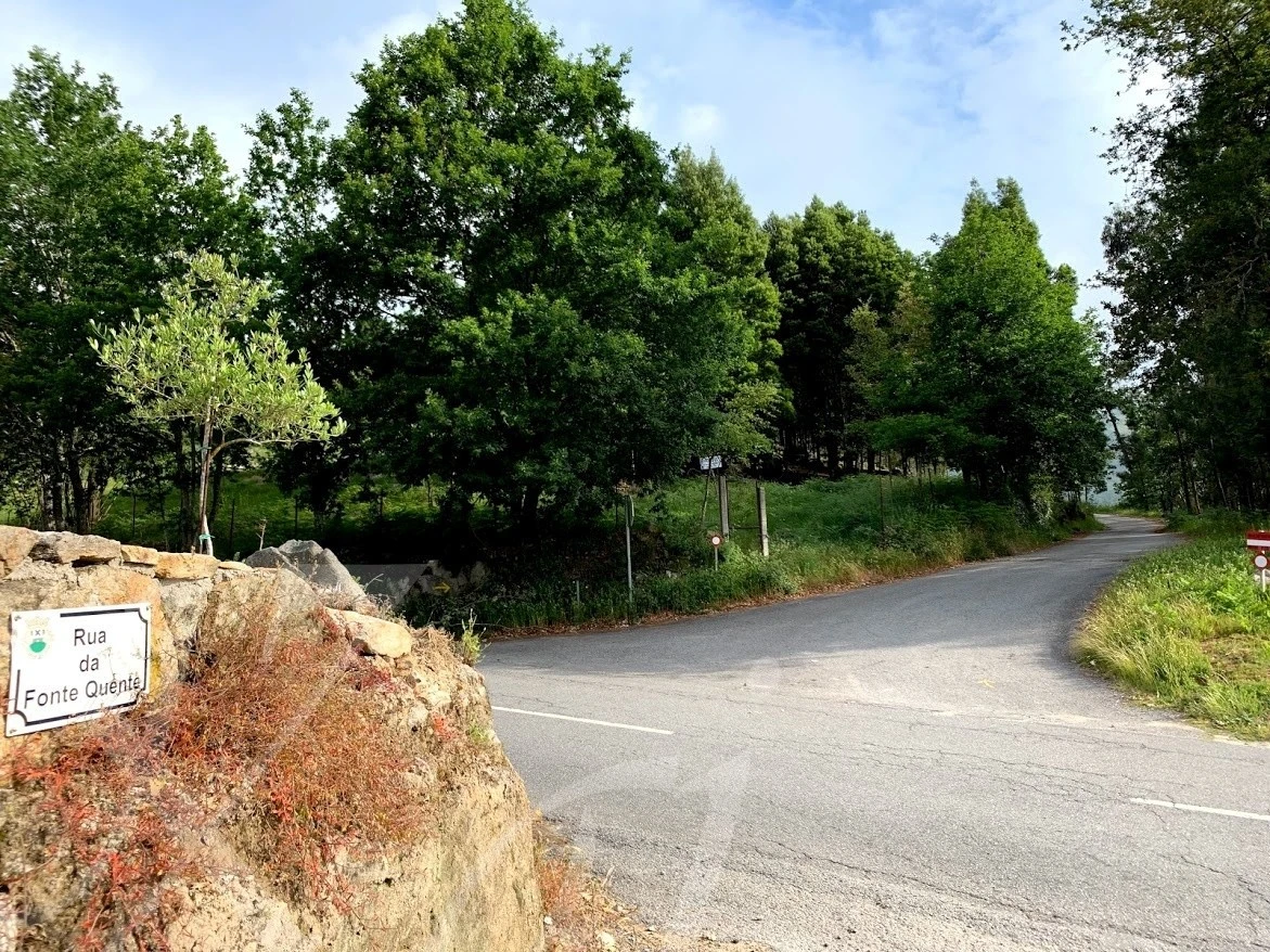 b_7daUd018svc1xlc2e91a8t5b_wocx9r.jpg?type=e1920_std