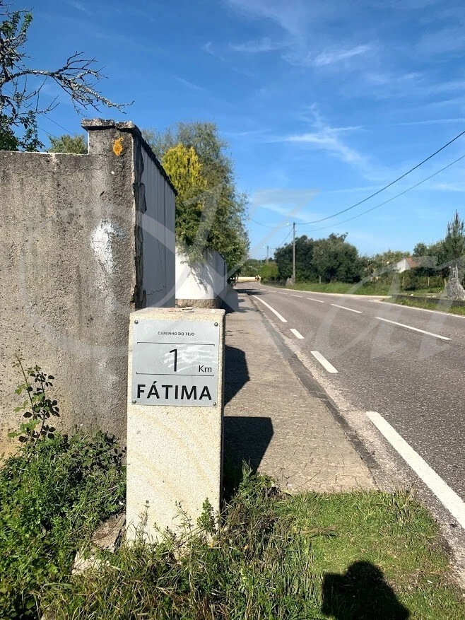 XTuik3E9q4Ch4vTsE9MvC4O2IN8