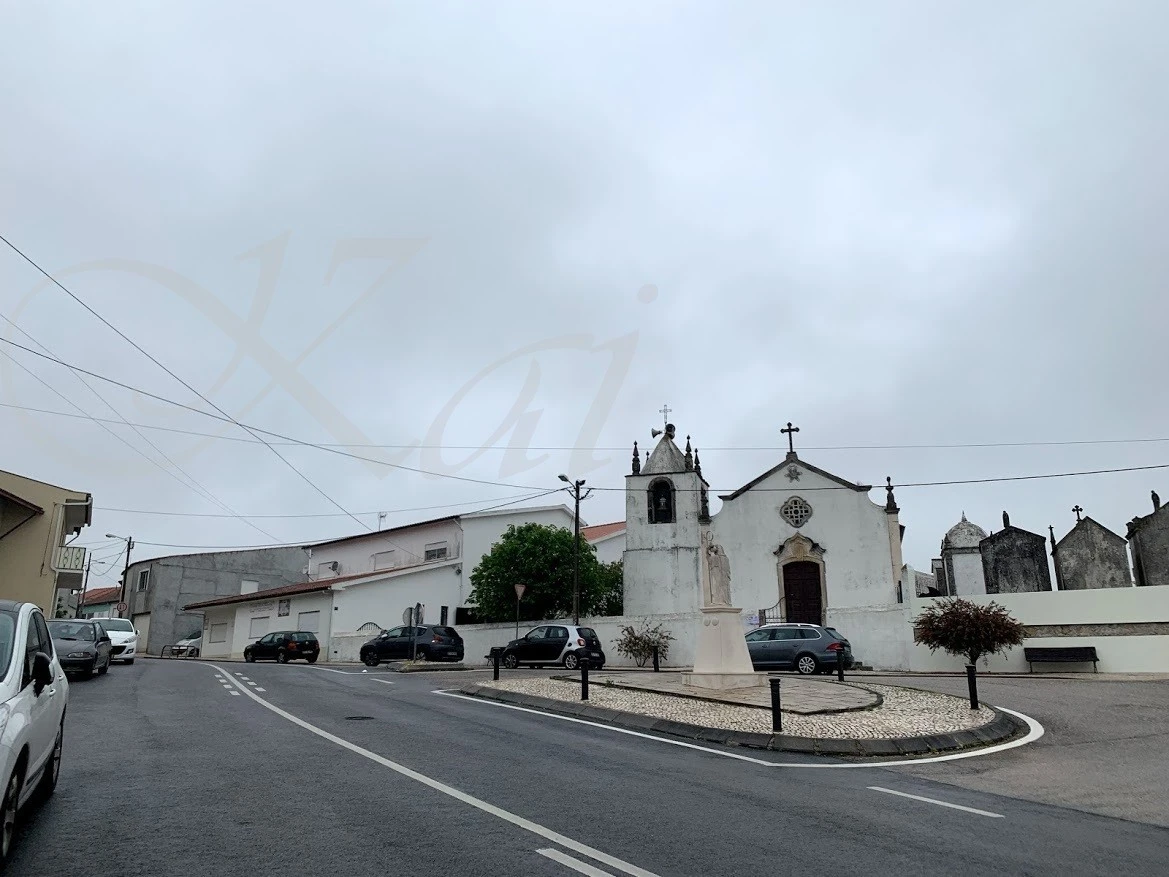 0_68dUd018svcqd1hdkdnmhsd_wocx9r.jpg?type=e1920_std