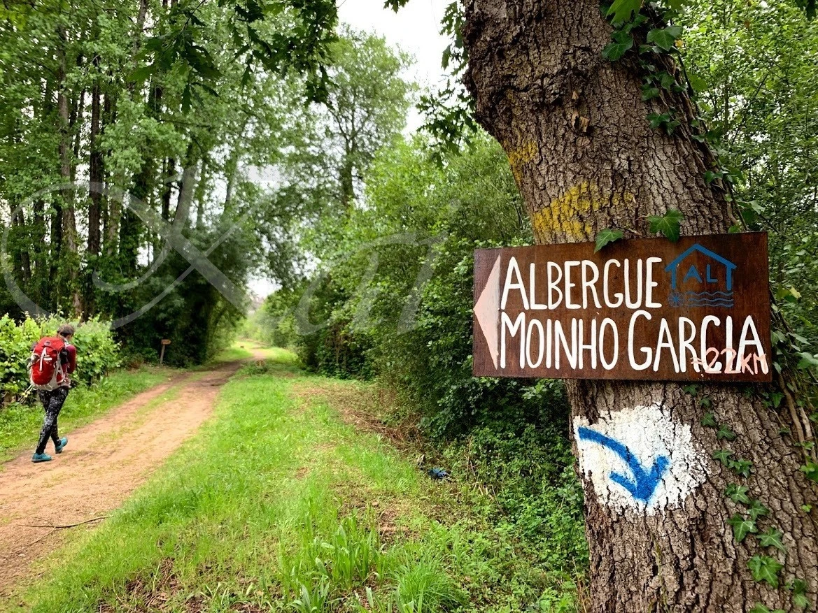 1_a35Ud018svc1ple4vj0qg1ud_wocx9r.jpg?type=e1920_std