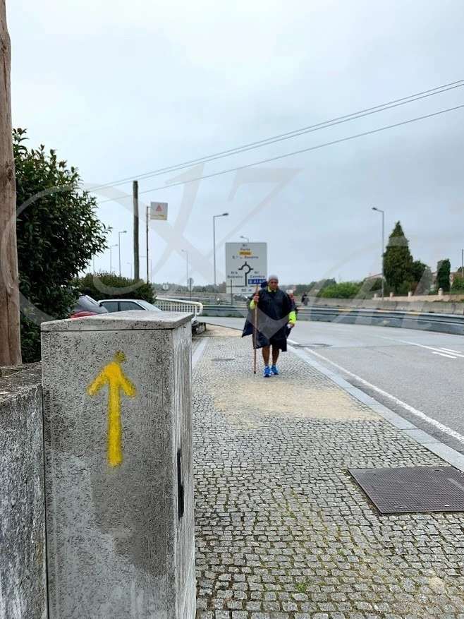 0_d36Ud018svc82z9kd93xf38_wocx9r.jpg?type=e1920_std