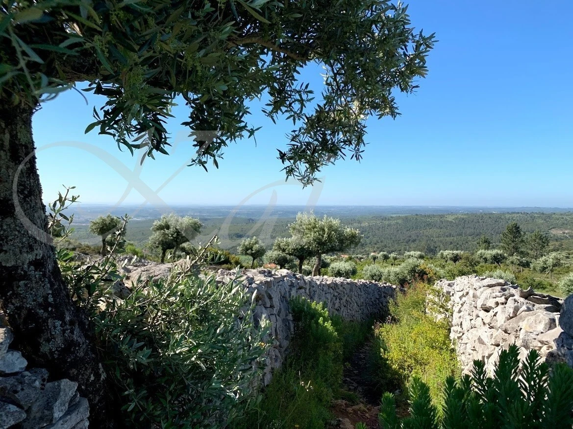 SUldNK9fL7V2xlo47VP230owC64