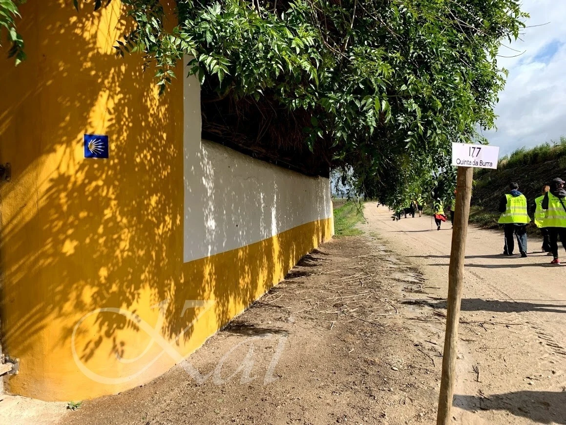 U70DLHrOXyhMr0fb7DqBOjhLhz0