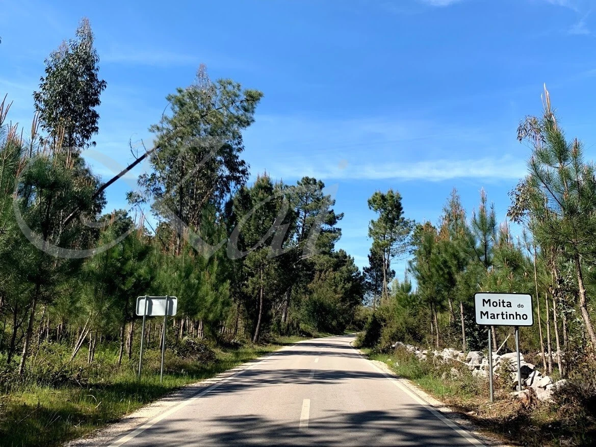 yVPcYSrD0ahQcdKm_cgLbZ-Dvcc