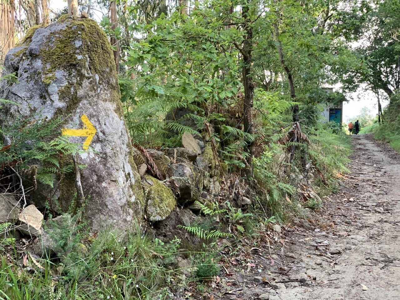 c_0edUd018svc1v8834rhymy6s_wocx9r.png?type=e1920_std