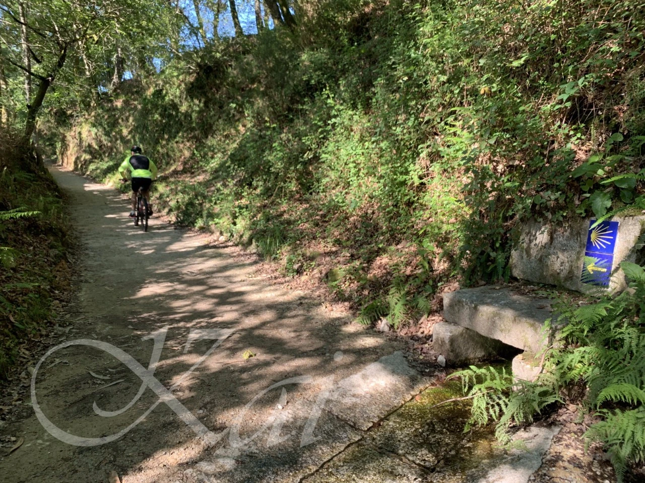 b_dd4Ud018svc13d8g26xbozsz_wocx9r.png?type=e1920_std