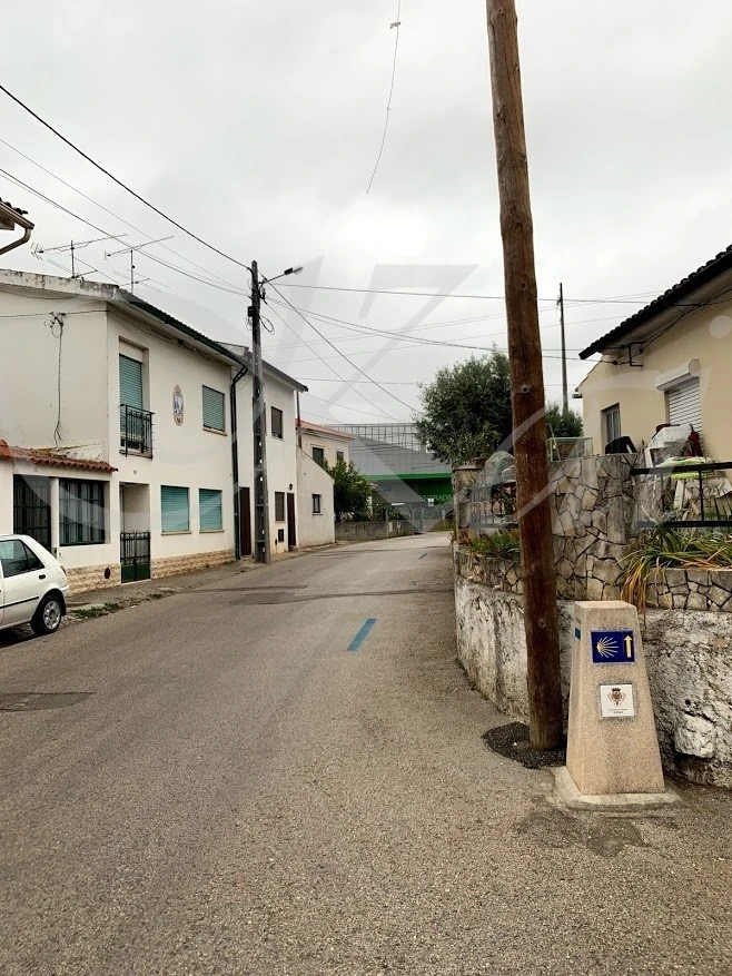 j_58cUd018svcs1lm1egi6h6x_wocx9r.jpg?type=e1920_std