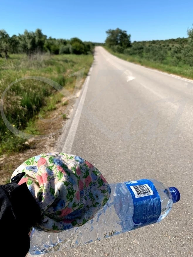 h_8c7Ud018svcwyry4n6b5p3a_wocx9r.jpg?type=e1920_std