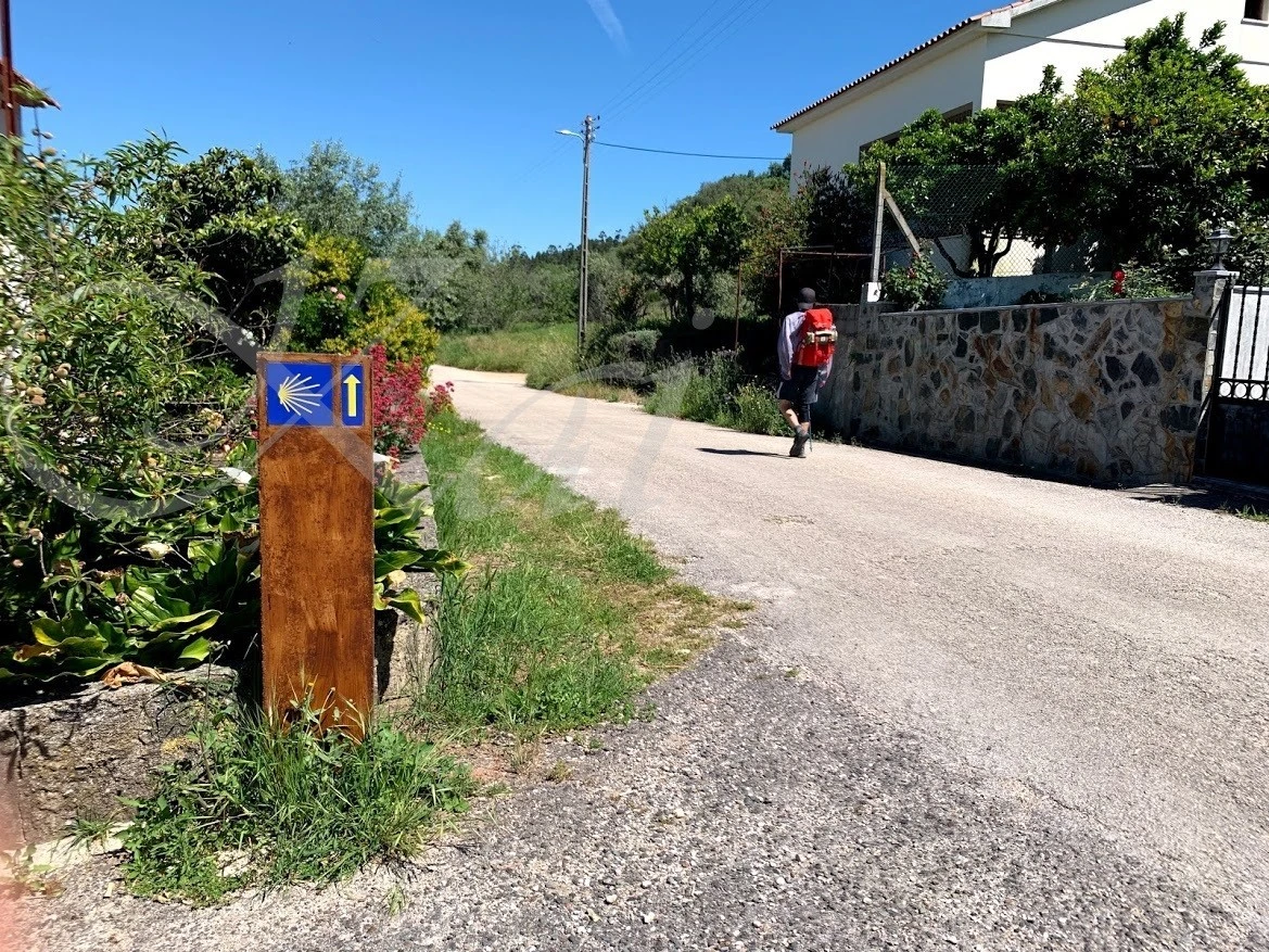 f_5c7Ud018svc12vow07ki0741_wocx9r.jpg?type=e1920_std