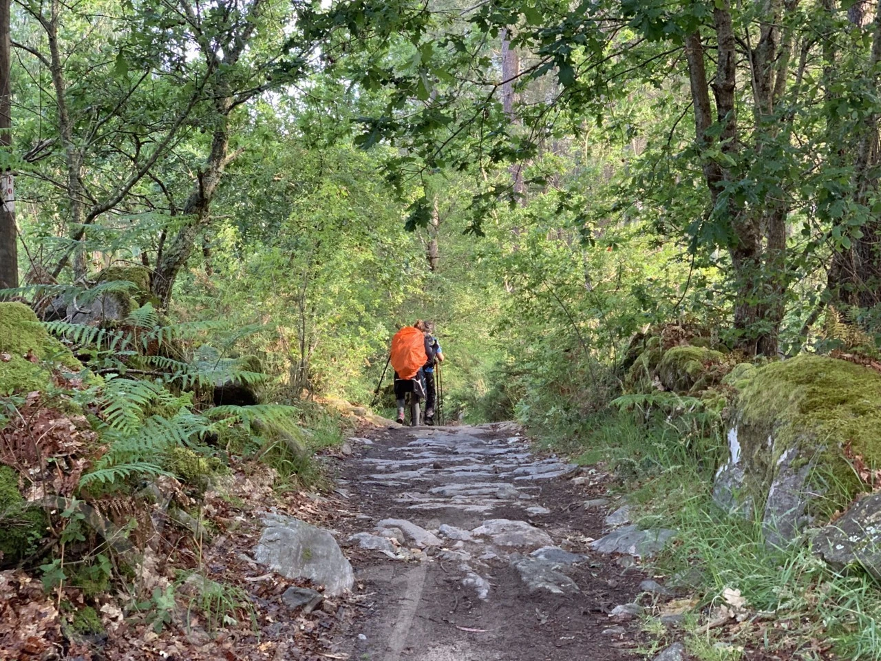 0_dedUd018svc4xt0mr62wvvx_wocx9r.png?type=e1920_std