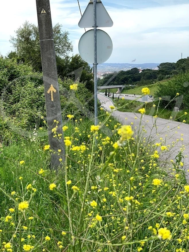 7_g4jUd018svc2u0f16ezx9xu_wocx9r.jpg?type=e1920_std