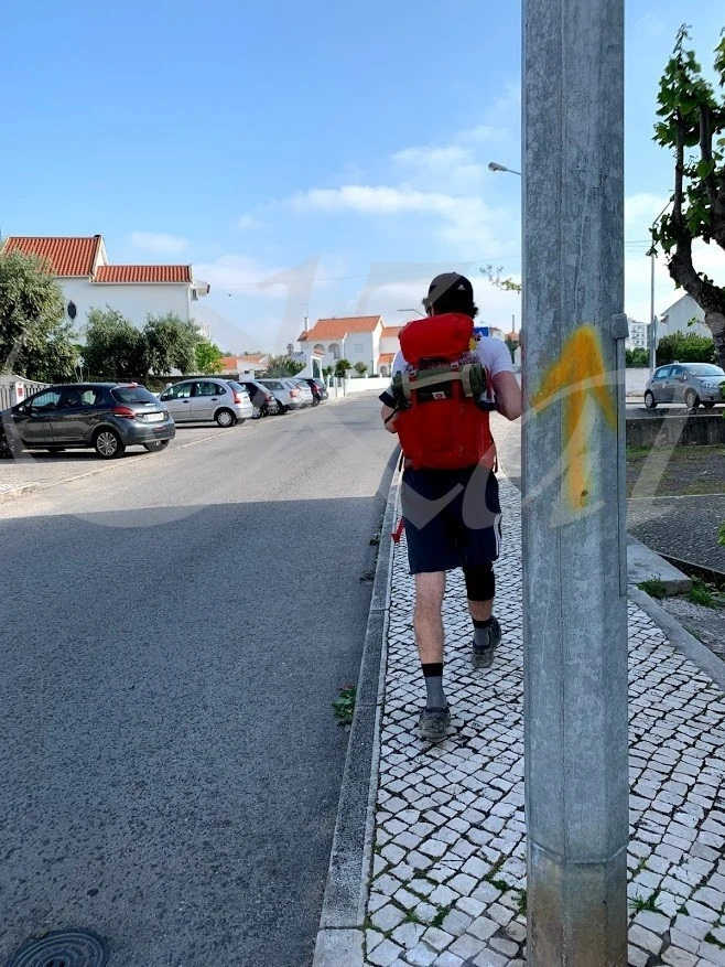 j_g04Ud018svc1tj7ui5bvvg30_wocx9r.jpg?type=e1920_std