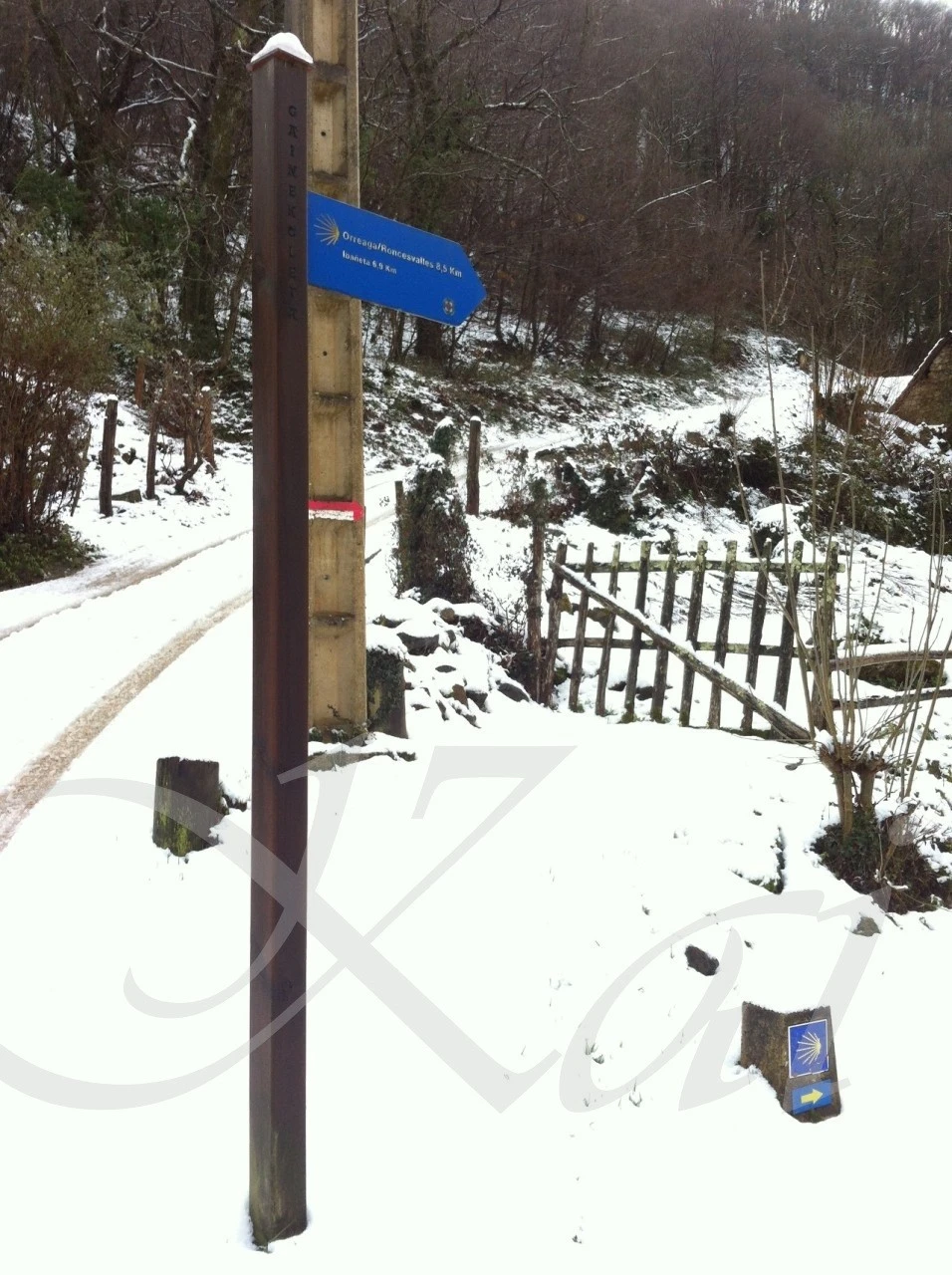 9_cjhUd018svcktaq3rt6i72b_wocx9r.jpg?type=e1920_std