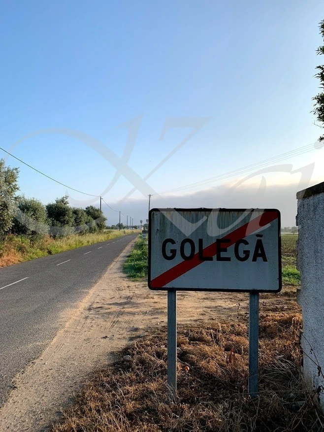 g_e04Ud018svc16h5gvlwv5wmh_wocx9r.jpg?type=e1920_std