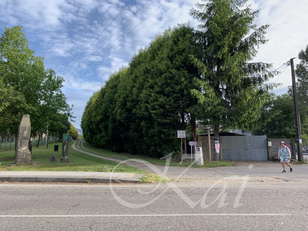 8_386Ud018svcy8rd9r86epge_wocx9r.png?type=e1920_std